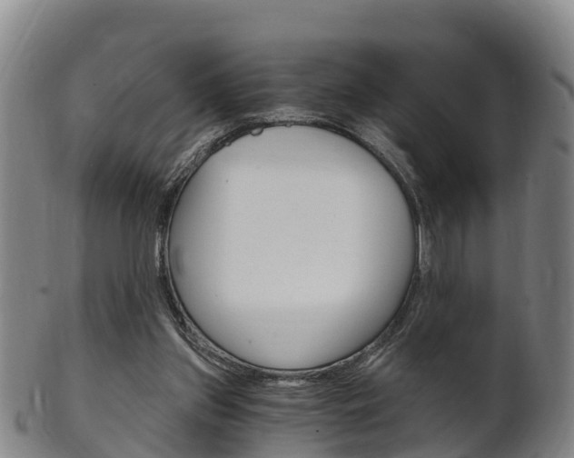 X0000102520157200808081038