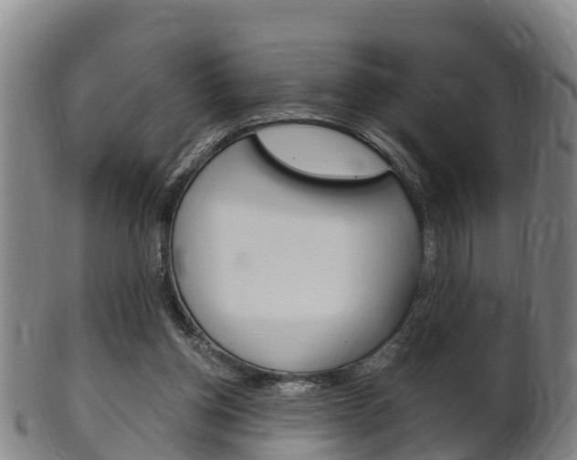 X0000102520158200808081038