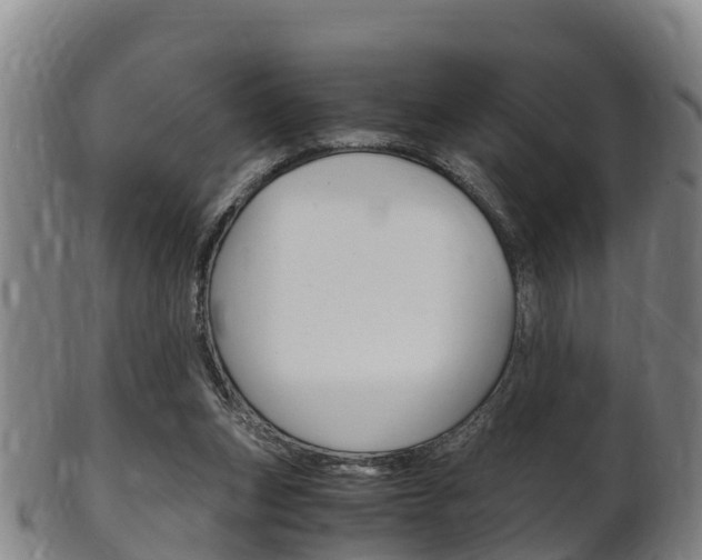 X0000102520159200808081038