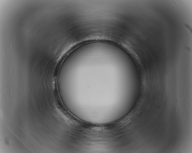 X0000102520160200808081038