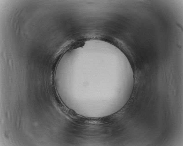 X0000102520163200808081038