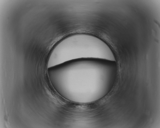 X0000102520164200808081038