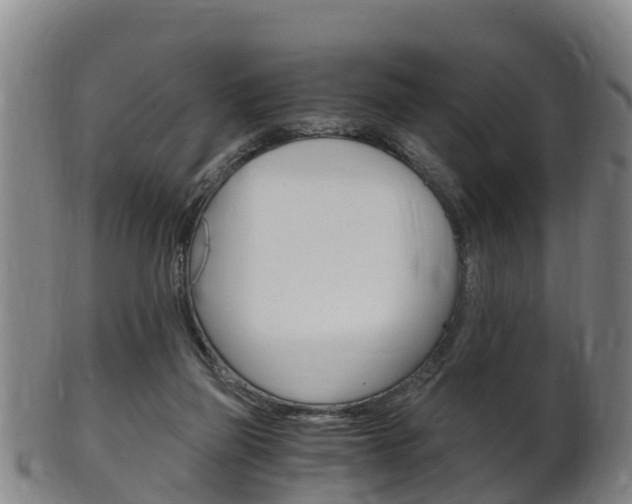 X0000102520165200808081038