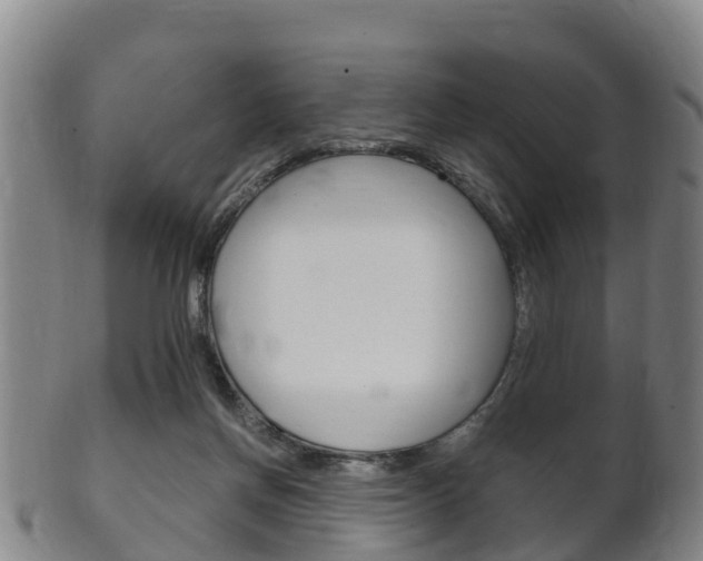 X0000102520166200808081038