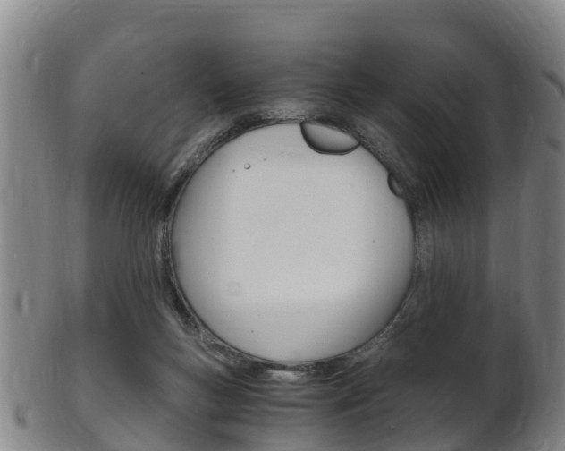 X0000102520167200808081038