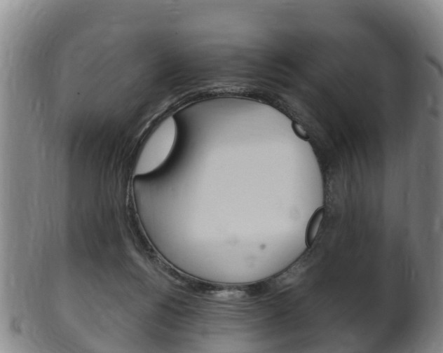 X0000102520168200808081038