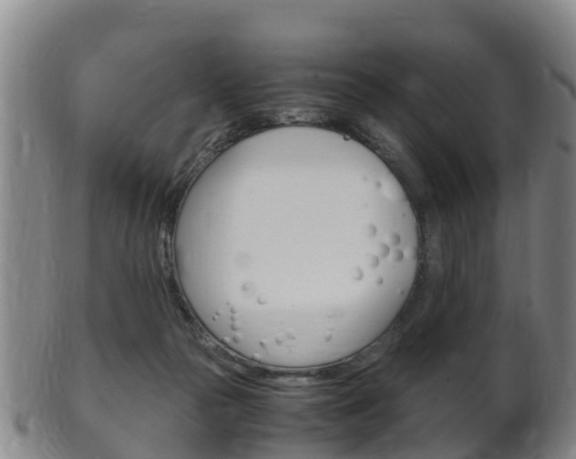 X0000102520169200808081038