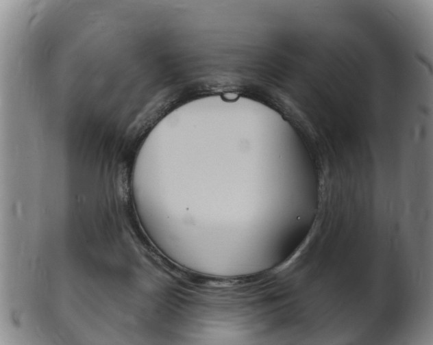 X0000102520170200808081038