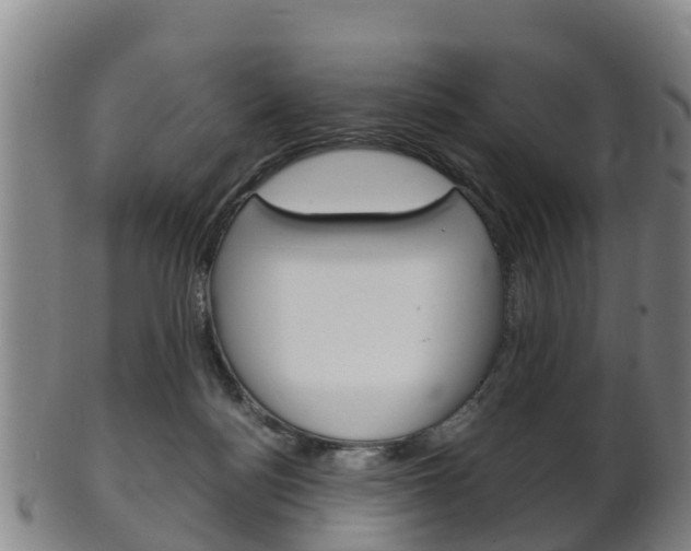 X0000102520172200808081038