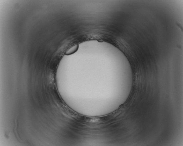 X0000102520173200808081038