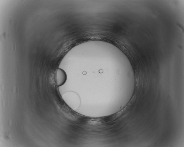 X0000102520175200808081038