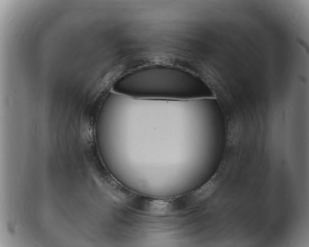 X0000102520176200808081038