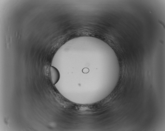 X0000102520177200808081038