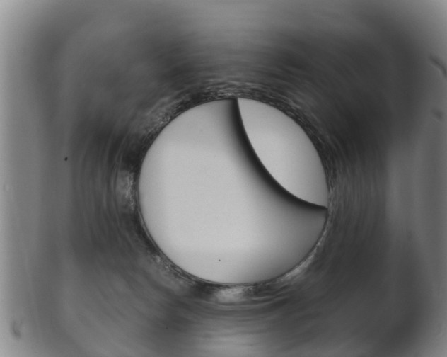 X0000102520178200808081038