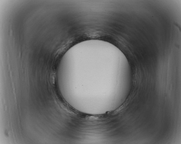 X0000102520180200808081038