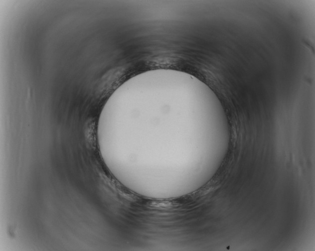 X0000102520181200808081038