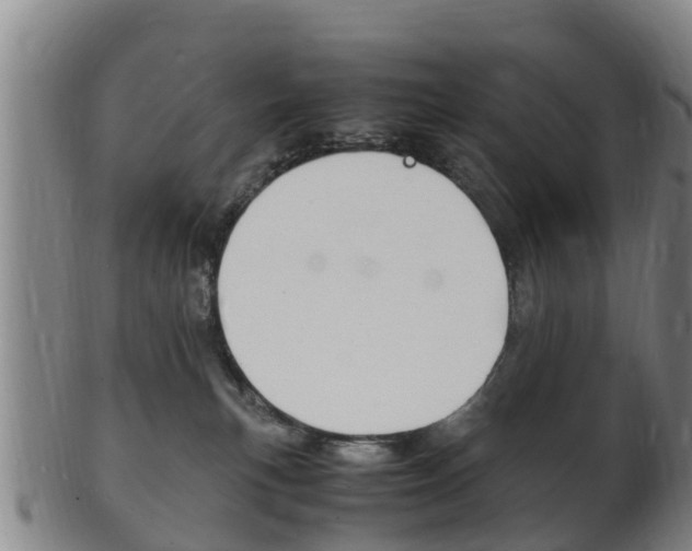 X0000102520183200808081038