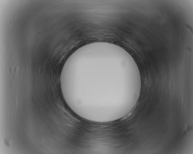 X0000102520184200808081038