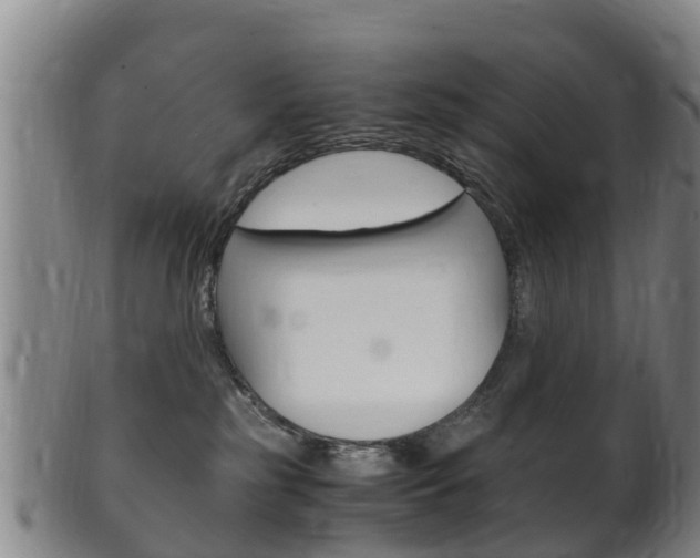 X0000102520185200808081038