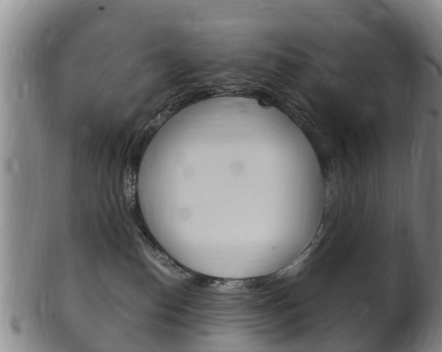 X0000102520186200808081038