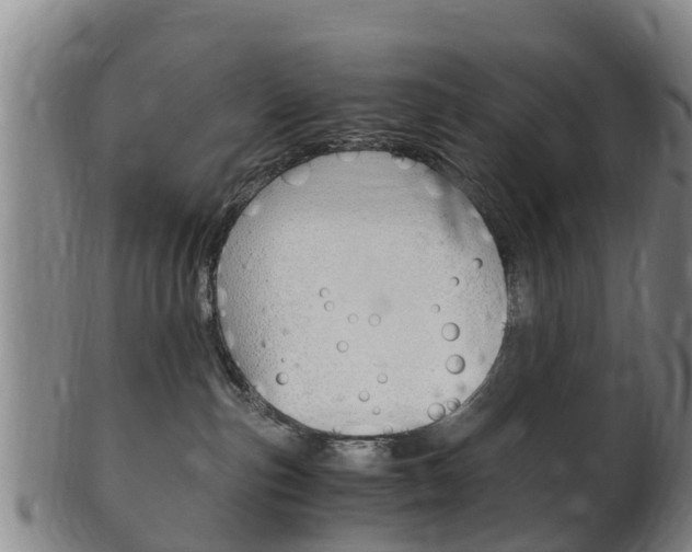 X0000102520187200808081038