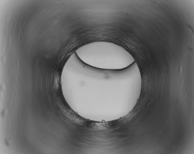 X0000102520188200808081038