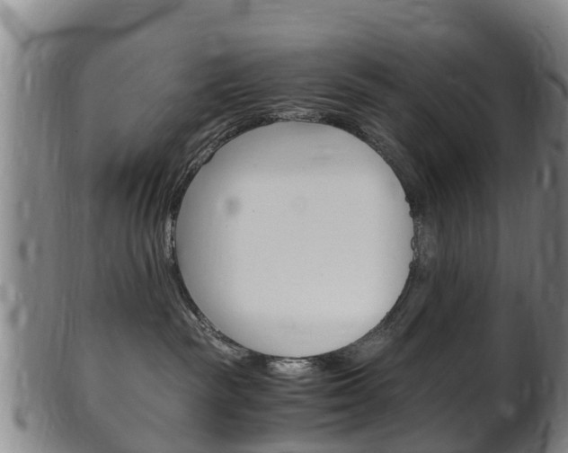 X0000102520189200808081038