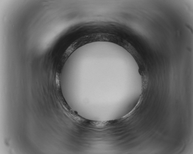 X0000102520191200808081038