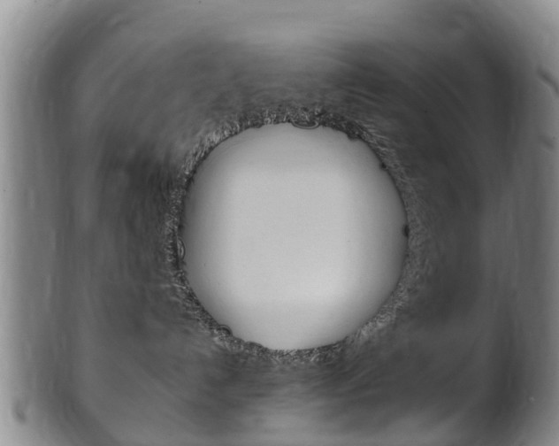 X0000102520192200808081038