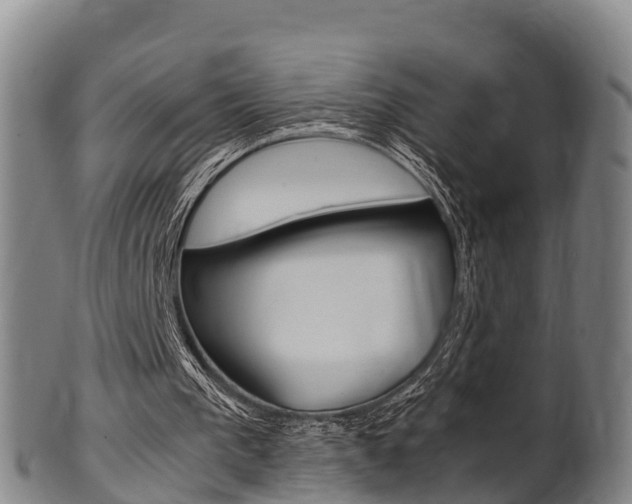 X0000102520193200808081037