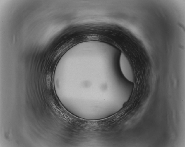 X0000102520194200808081037