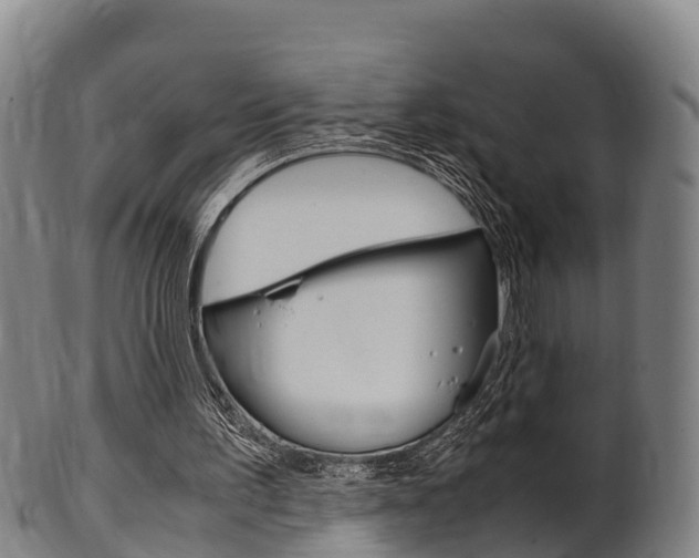 X0000102520195200808081037