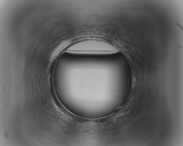X0000102520197200808081037