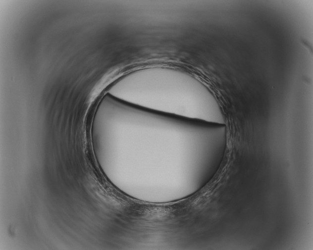 X0000102520198200808081037