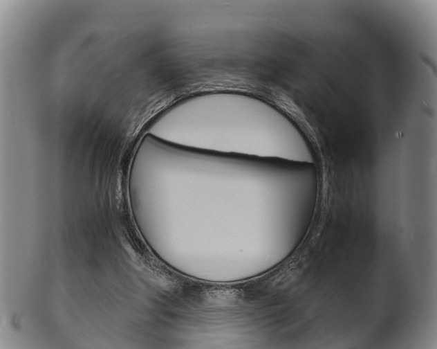 X0000102520202200808081037