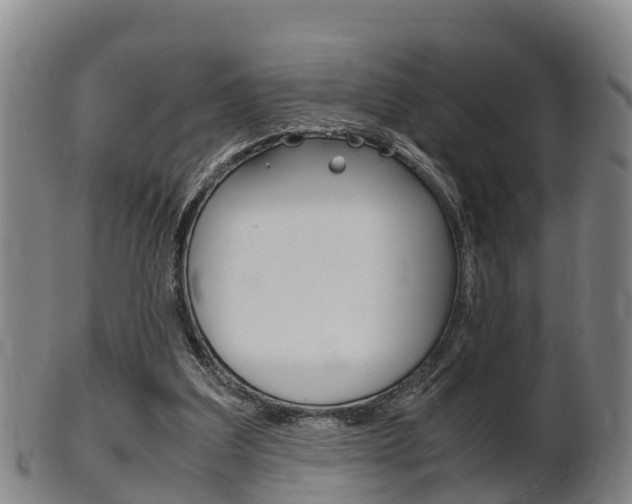 X0000102520203200808081037