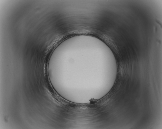 X0000102520206200808081037