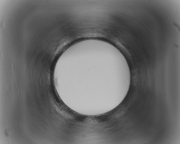 X0000102520207200808081037