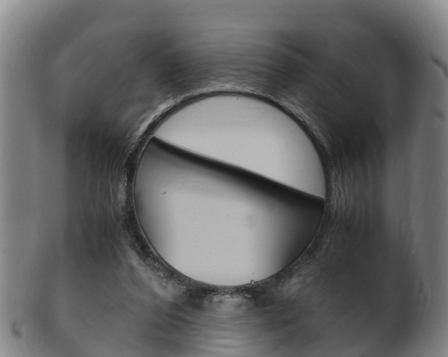 X0000102520208200808081037