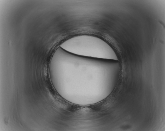 X0000102520210200808081037