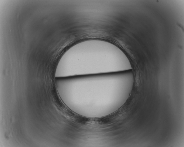 X0000102520211200808081037