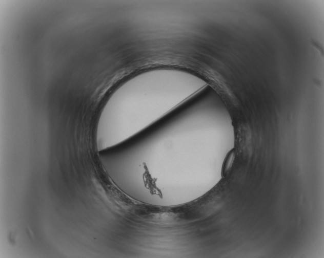 X0000102520212200808081037