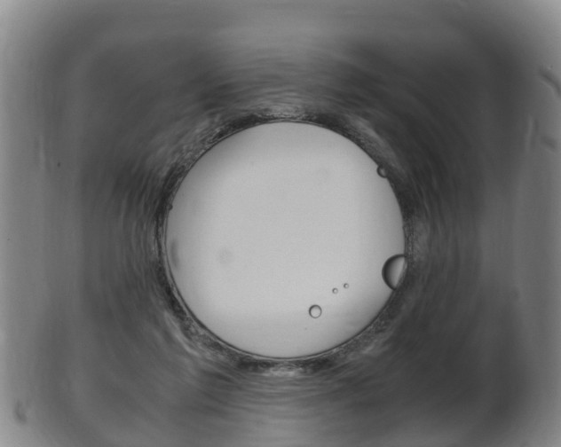 X0000102520213200808081037