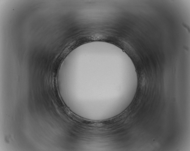 X0000102520214200808081037