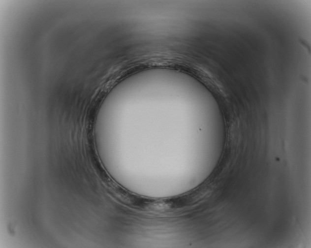 X0000102520217200808081037