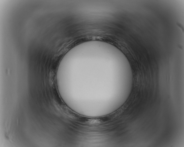 X0000102520218200808081037