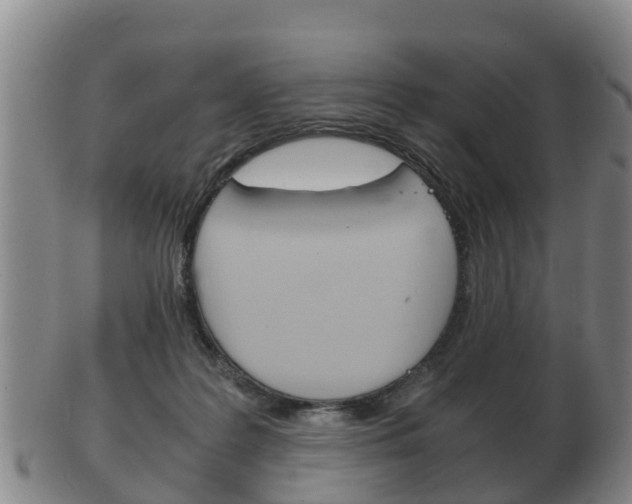 X0000102520219200808081037