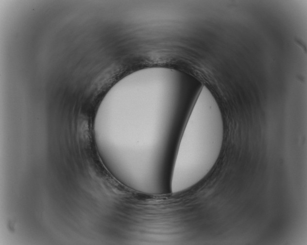 X0000102520220200808081037