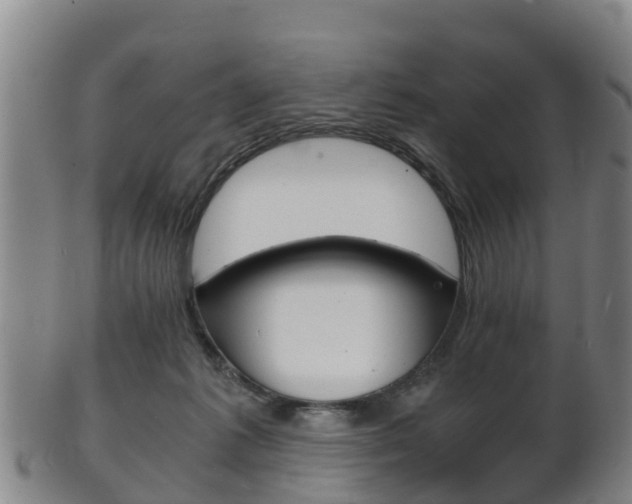 X0000102520221200808081037