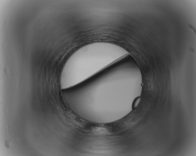 X0000102520224200808081037